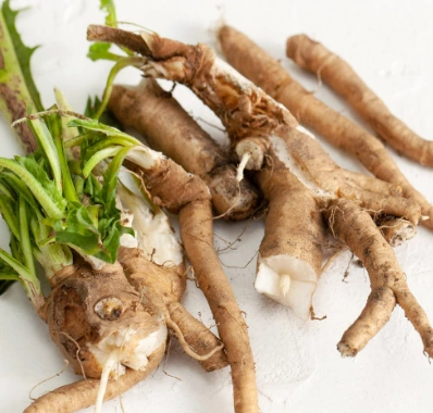 Chicory root inulin prebiotic fiber ingredient used in Sodatide gut health supplement